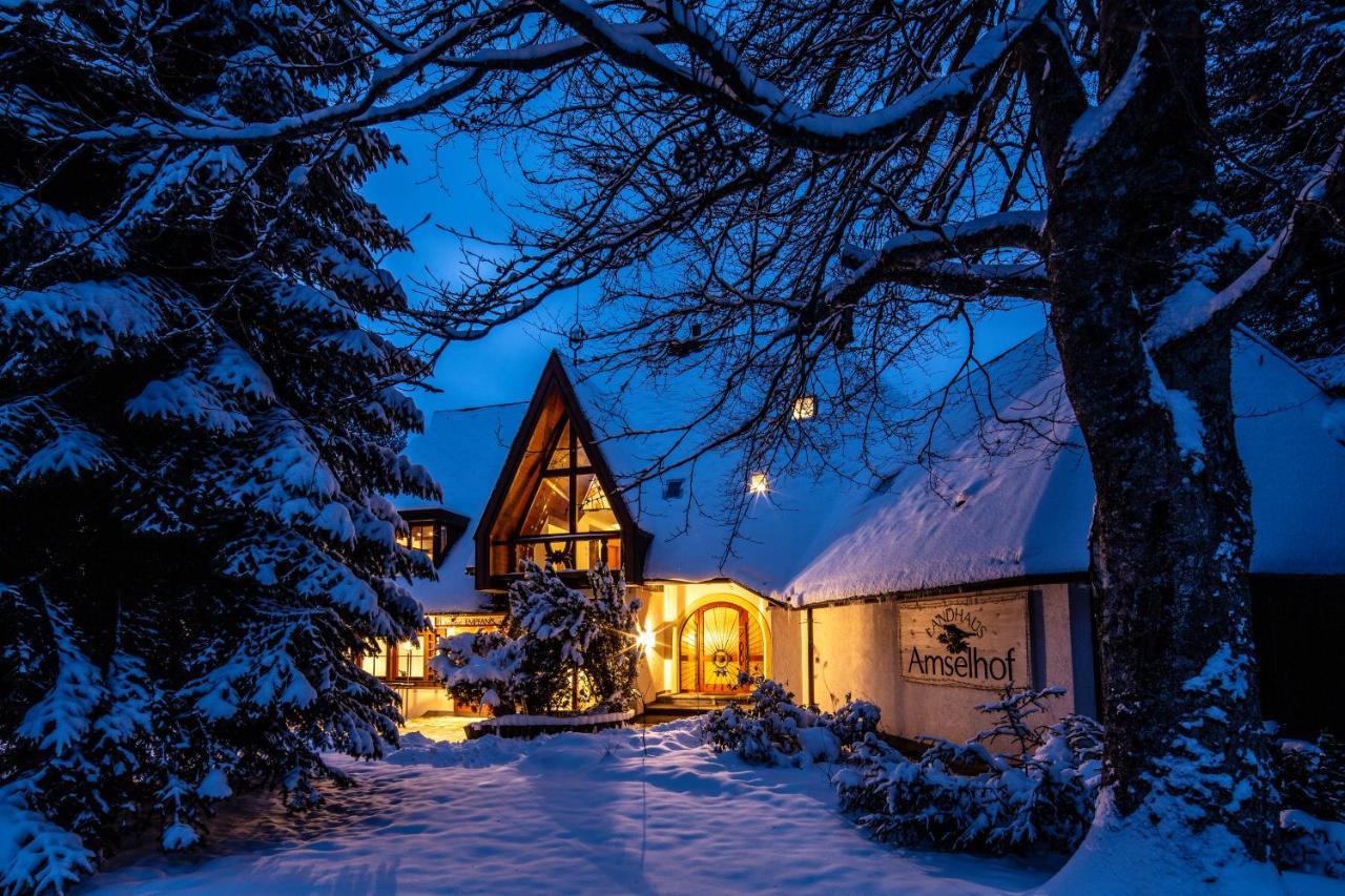 Landhaus Amselhof Хинтерцартен Экстерьер фото